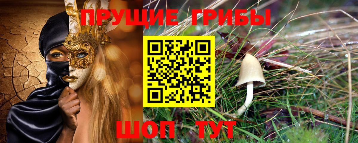 Псилоцибиновые грибы мухоморы  Вход с VPN  Киселёвск  Галлюциногенные грибы Psilocybe 