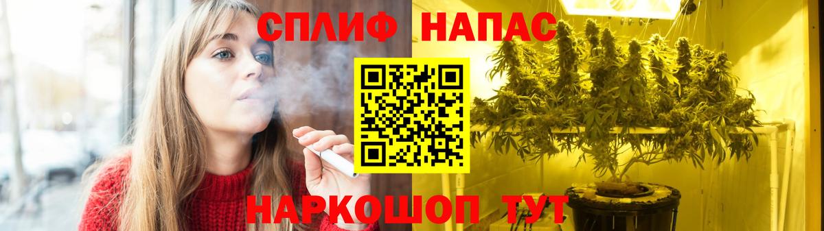 Марихуана план  Канабис THC 21%  Шишки марихуана MAZAR  Киселёвск  Вход с VPN  Канабис VHQ 